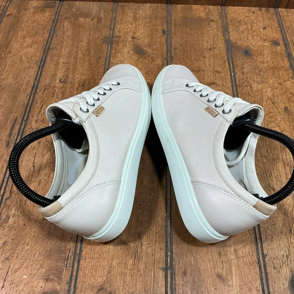 Ecco excellent perfect
